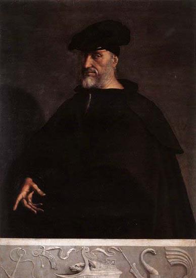 Sebastiano del Piombo Portrait of Andrea Doria oil painting image